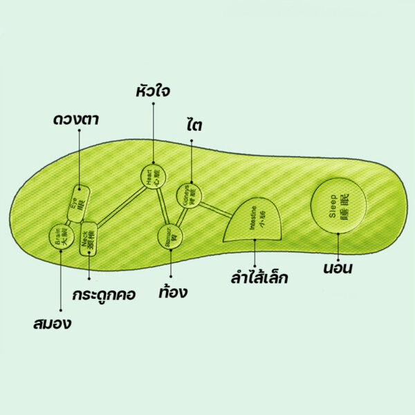 แผ่นรองเท้าสำหรับวิ่ง ลดความชื้น ระบายอากาศได้ดี ไม่อับชื้น เหมาะสำหรับเท้าที่ต้องการความสบาย พื้นรองเท้า กันกัด