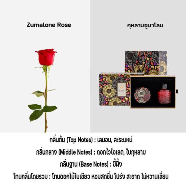 ของขวัญเทียนหอมก้านไม้หอม กล่องสวยหรู Gift Set สำหรับคนพิเศษ ของขวัญแทนใจ ปีใหม่ Christmas คริสต์มาส วาเลนไทน์ วาเลนไทน์