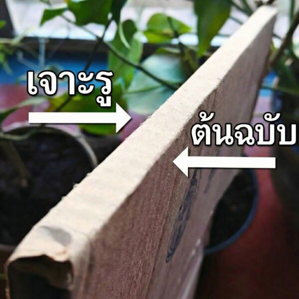 ที่กดรอยพับกระดาษลูกฟูก อุปกรณ์ทำกล่องแพ็คสินค้า DIY ใช้สะดวก ช่วยให้พับคมสวย งานเรียบร้อย