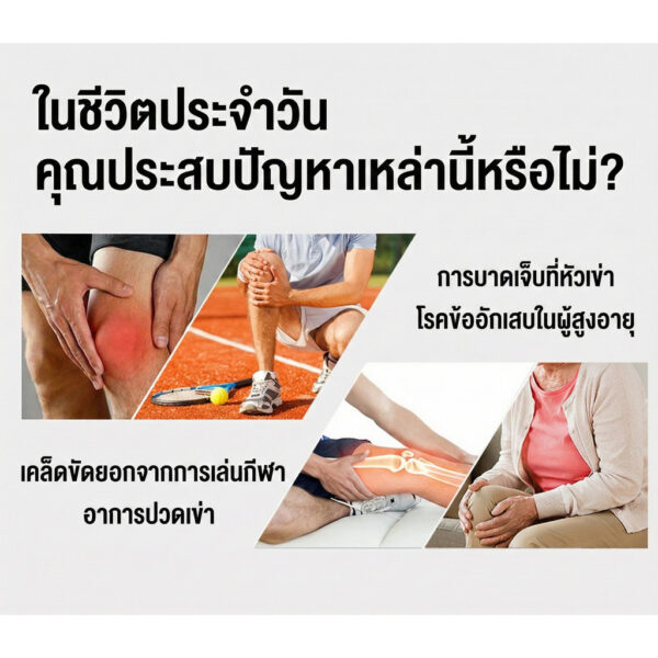 แผ่นเจลรองเข่า ประคบเย็น-ร้อน ลดปวดเข่า บวม อักเสบ พร้อมสายรัด ซัพพอร์ตดี ใช้ได้หลังออกกำลังกาย
